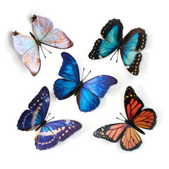 Little Wonders Butterfly Set - The Aviators