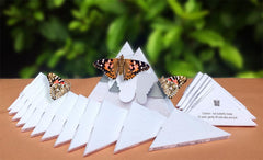 Package Deal - Painted Ladies in 50 Standard Boxes and 2 Special Boxes