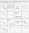 Plantable Paper Favor with Ribbon Wrap - Set of 25
