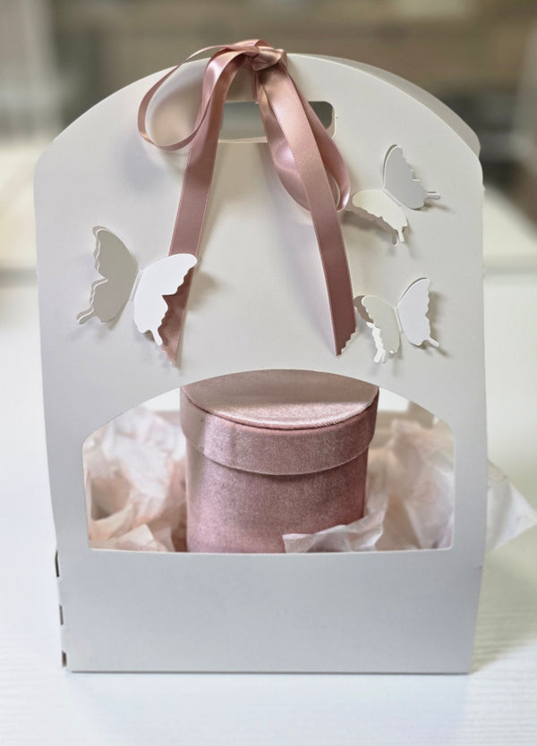 Velvet Box With 1 Dozen Butterflies