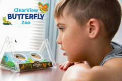 ClearView Butterfly Zoo - Live Kit