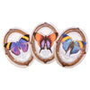Butterfly Greeting Cards