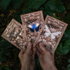 Butterfly Greeting Cards