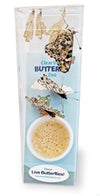 ClearView Butterfly Zoo - Easy Kit!