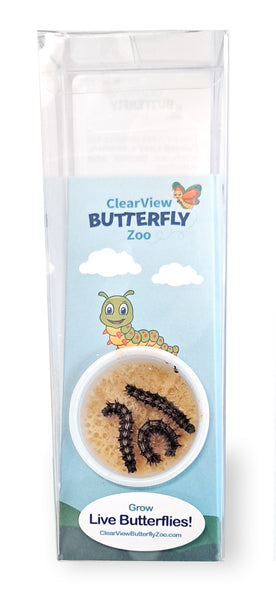 ClearView Butterfly Zoo - Easy Kit! | Swallowtail Farms, Inc.