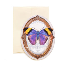 Butterfly Greeting Cards