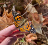Painted Lady Butterflies - By The Dozen [With Custom Print]