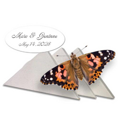 Painted Lady Butterflies - By The Dozen [With Custom Print]