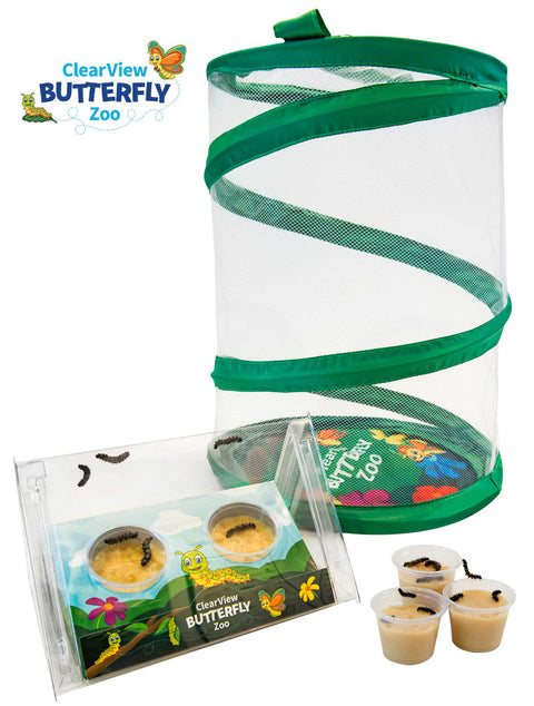 ClearView Butterfly Zoo - Live Kit