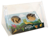 ClearView Butterfly Zoo - Live Kit