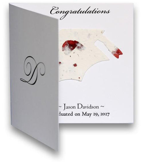 Plantable Paper Folded Card Design #1 - Set of 25