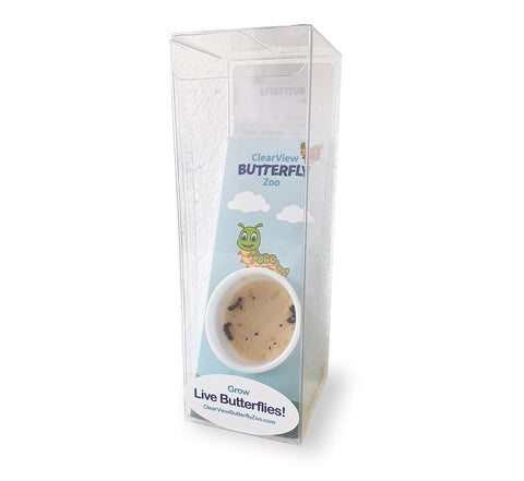 ClearView Butterfly Zoo - Easy Kit!