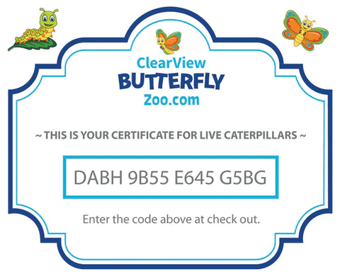 ClearView Butterfly Zoo - Voucher Kit