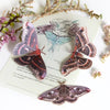 Little Wonders Butterfly Set - The Nocturnes