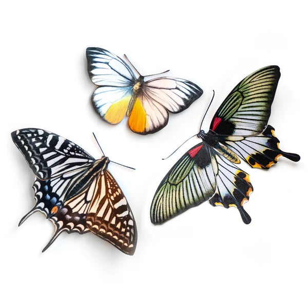 Little Wonders Butterfly Set - The Gothics