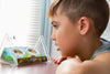 ClearView Butterfly Zoo - Refill Kit