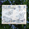 Little Wonders Butterfly Set - DIY Coloring Kit