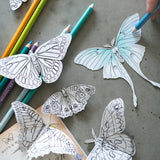 Little Wonders Butterfly Set - DIY Coloring Kit