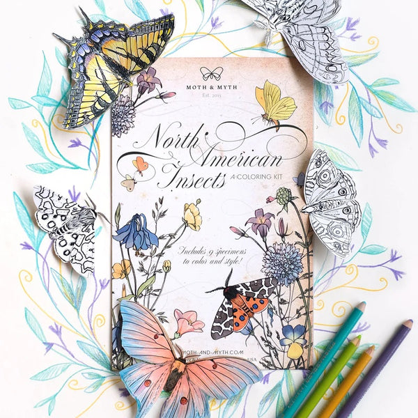 Little Wonders Butterfly Set - DIY Coloring Kit