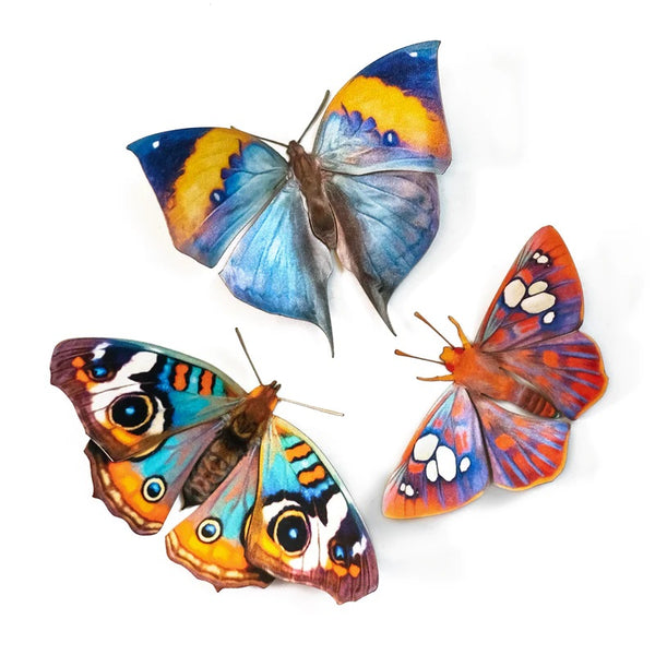 Little Wonders Butterfly Set - The Artist Palette