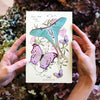 Little Wonders Butterfly Set - The Fairytales