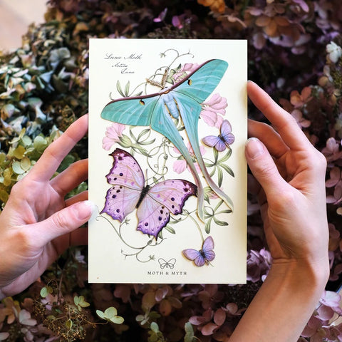 Little Wonders Butterfly Set - The Fairytales