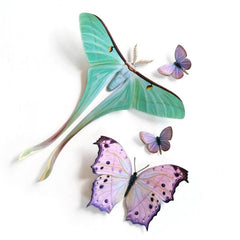 Little Wonders Butterfly Set - The Fairytales