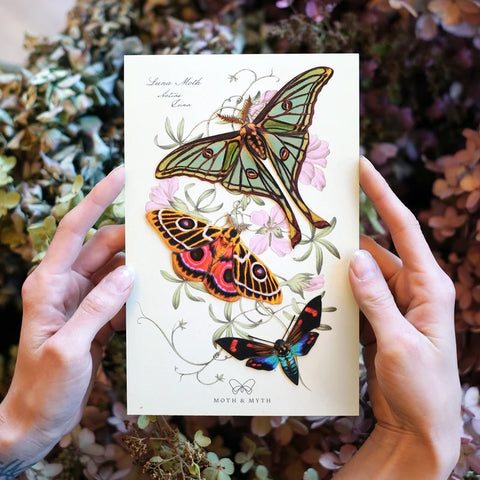 Little Wonders Butterfly Set - The Mosaics