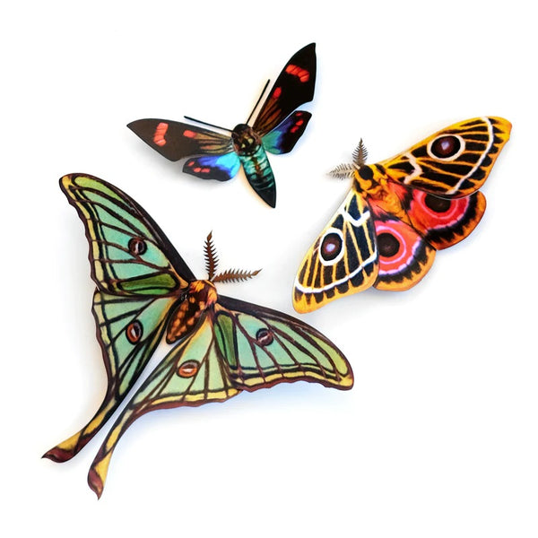 Little Wonders Butterfly Set - The Mosaics
