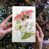 Little Wonders Butterfly Set - The Botanicals