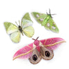 Little Wonders Butterfly Set - The Botanicals