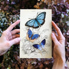 Little Wonders Butterfly Set - The Indigos