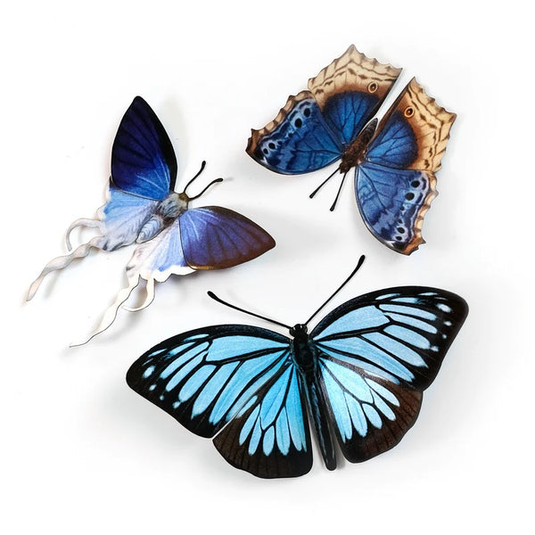 Little Wonders Butterfly Set - The Indigos