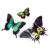 Little Wonders Butterfly Set - The Emeralds