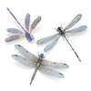 Little Wonders Butterfly Set - The Hunters