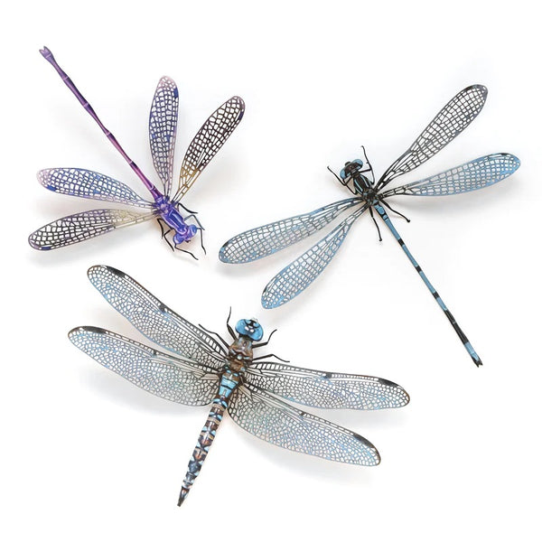 Little Wonders Butterfly Set - The Hunters