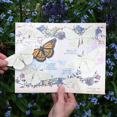 Little Wonders Butterfly Set - DIY Watercolor Kit