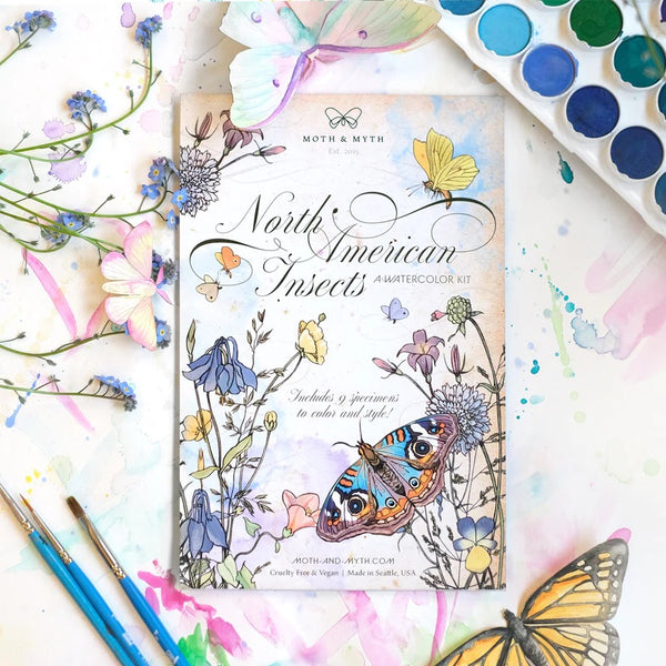 Little Wonders Butterfly Set - DIY Watercolor Kit