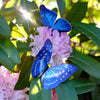 Little Wonders Butterfly Set - The Aviators
