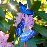 Little Wonders Butterfly Set - The Aviators