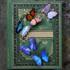 Little Wonders Butterfly Set - The Aviators