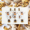 Little Wonders Set - The Bay-Bees