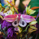 Little Wonders Butterfly Set - The Botanicals