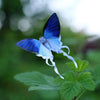 Little Wonders Butterfly Set - The Cobalts
