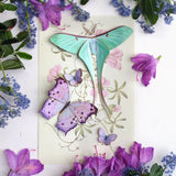 Little Wonders Butterfly Set - The Fairytales