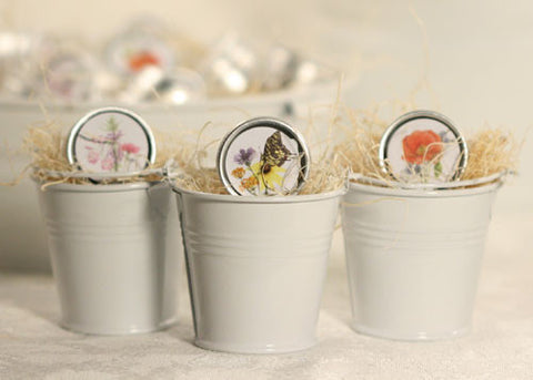 Individual Mini Seed Tins - Set of 12