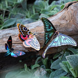 Little Wonders Butterfly Set - The Mosaics