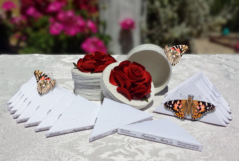 Package Deal - Painted Ladies in 25 Standard Boxes and 2 Special Boxes