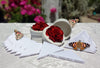 Package Deal - Painted Ladies in 200 Standard Boxes and 2 Special Boxes