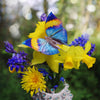 Little Wonders Butterfly Set - The Artist Palette